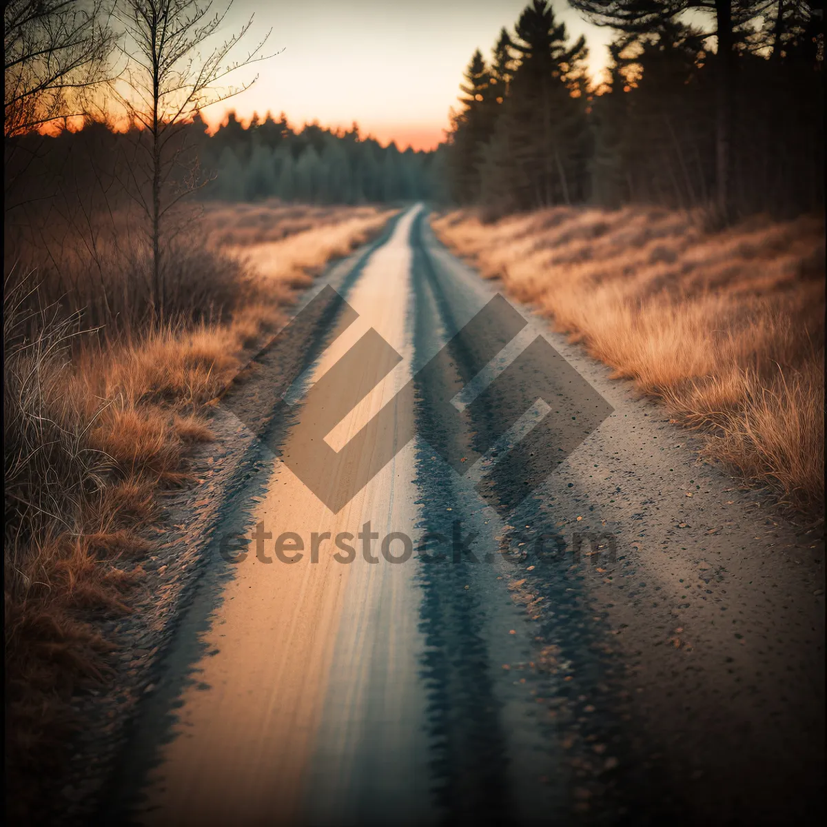 Picture of Scenic Mountain Drive on Rural Highway