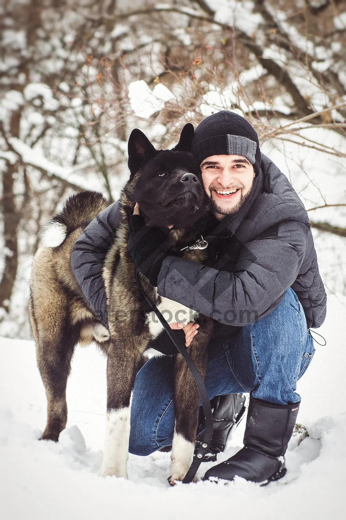 Picture of Active man snowshoeing with shepherd dog in snowy forest