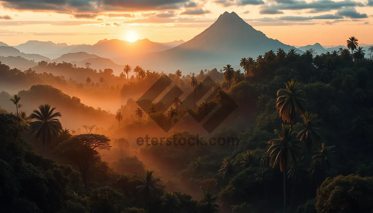 Picture of Mountain Sunset View at Volcano Park.