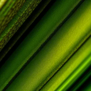 Green Lizard on Bamboo Patterned Window Shade