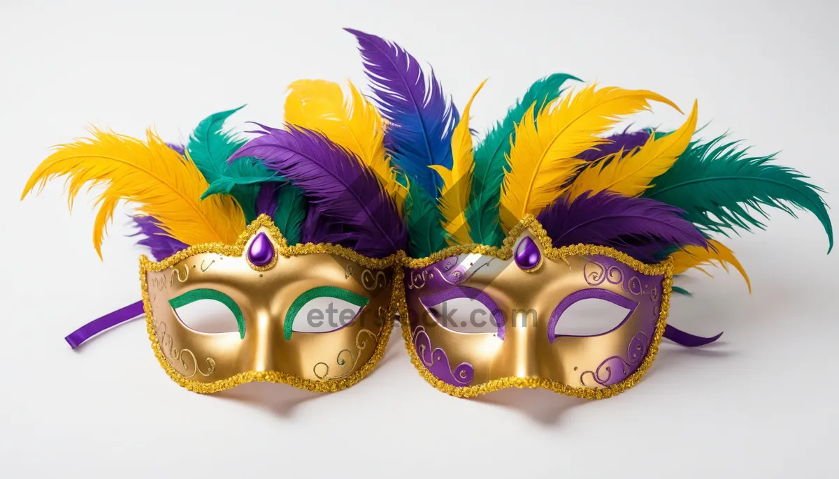 Picture of Masked Partygoer at Venetian Masquerade Carnival