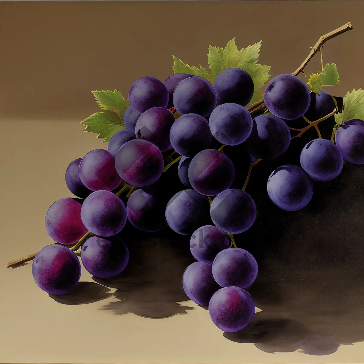 Picture of Vibrant Concord Grapes in a Bountiful Harvest