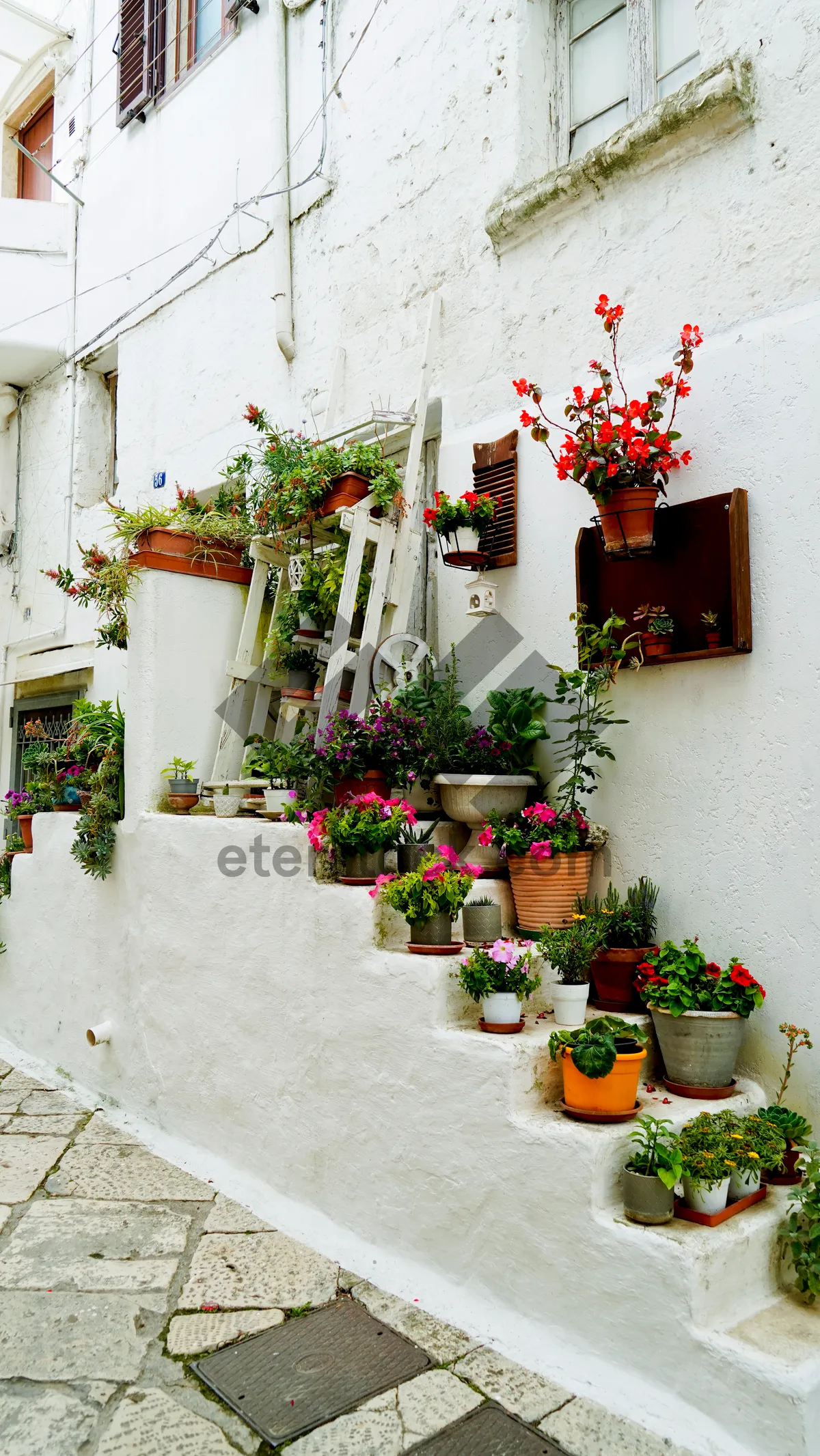 Picture of Balcony Garden Home Decoration with Flower Pots and Plants