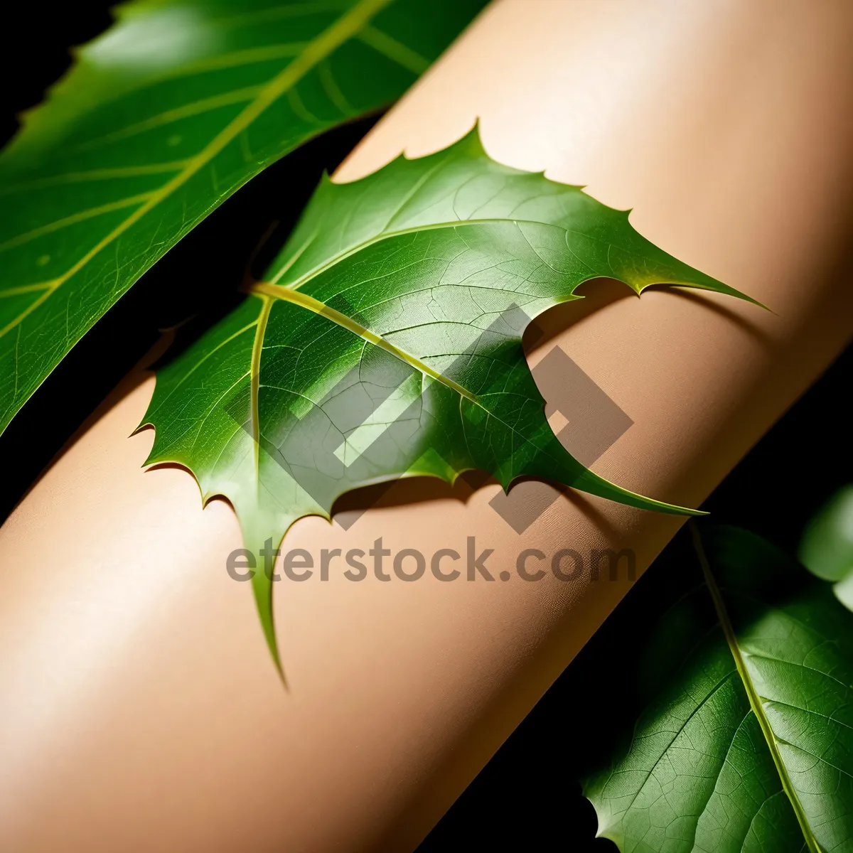 Picture of Arthropod perched on leaf in a green forest