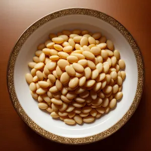 Assorted Nutritious Legume and Bean Varieties in Close-up