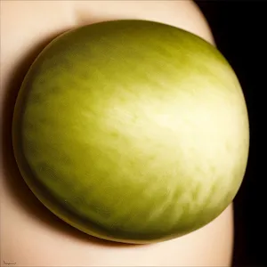 Citrus Delight: Fresh and Juicy Winter Melon Ball