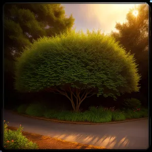 Sunlit Car Mirror Reflecting Scenic Rural Landscape