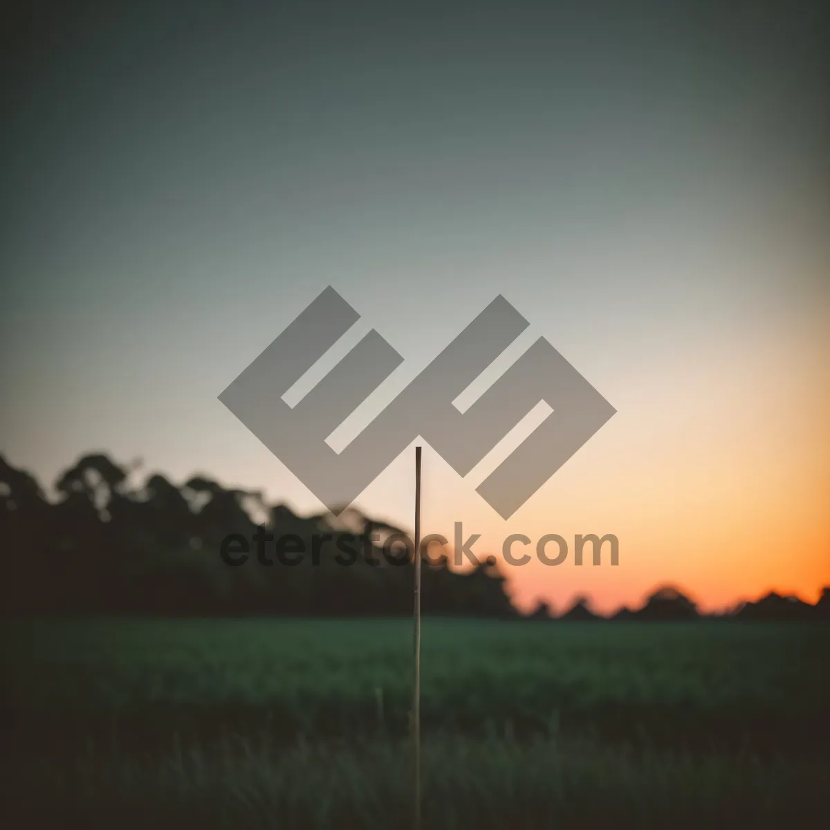 Picture of Sunset over the Rural Meadow