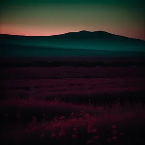 Vibrant Sunset Over the Sea