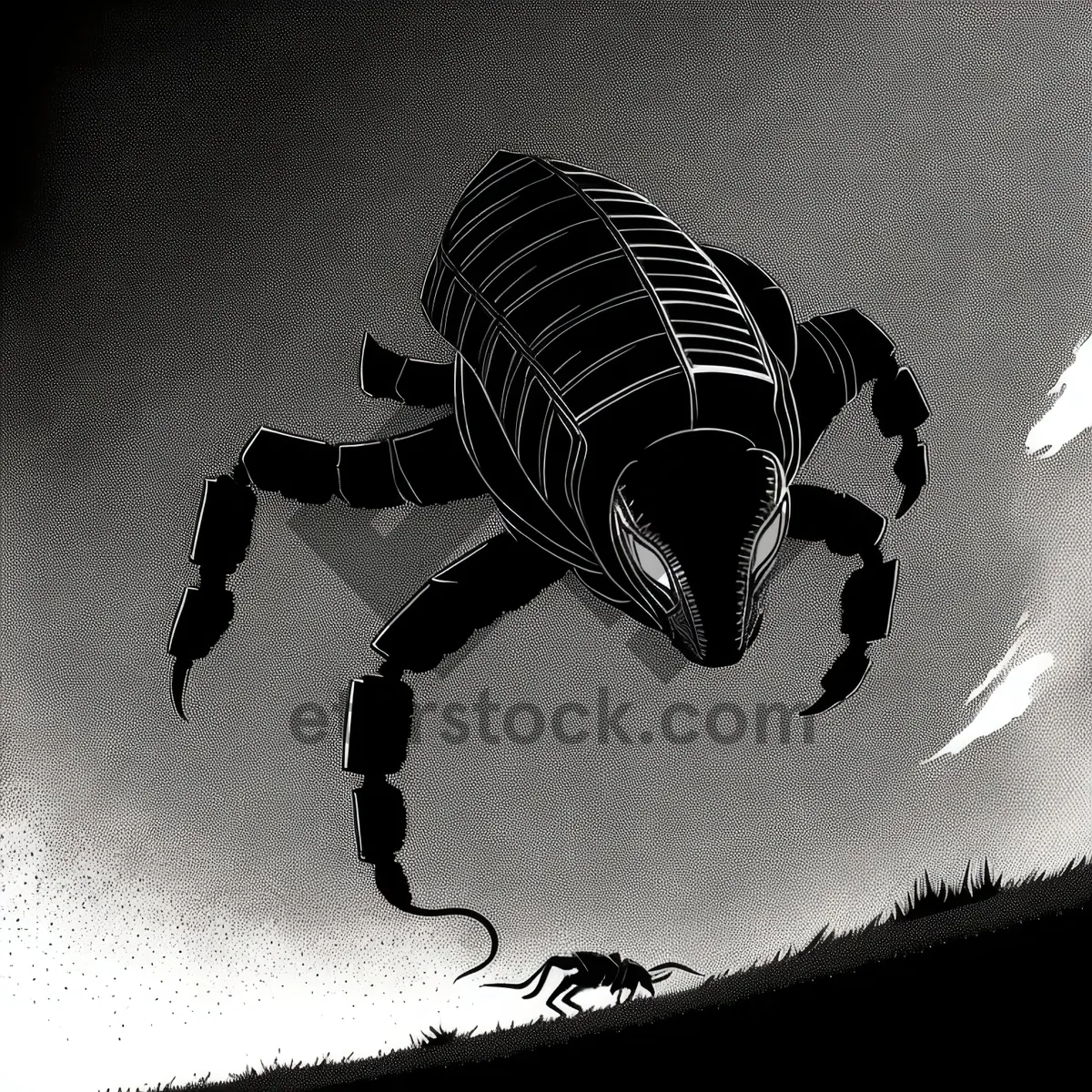 Picture of False Scorpion: Arachnid Arthropod Invertebrate Animal Scorpion