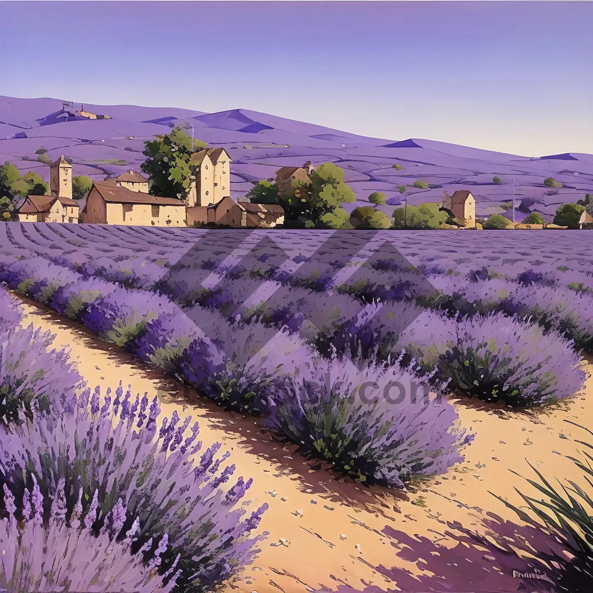 Picture of Serene Lavender Fields in Rural Countryside