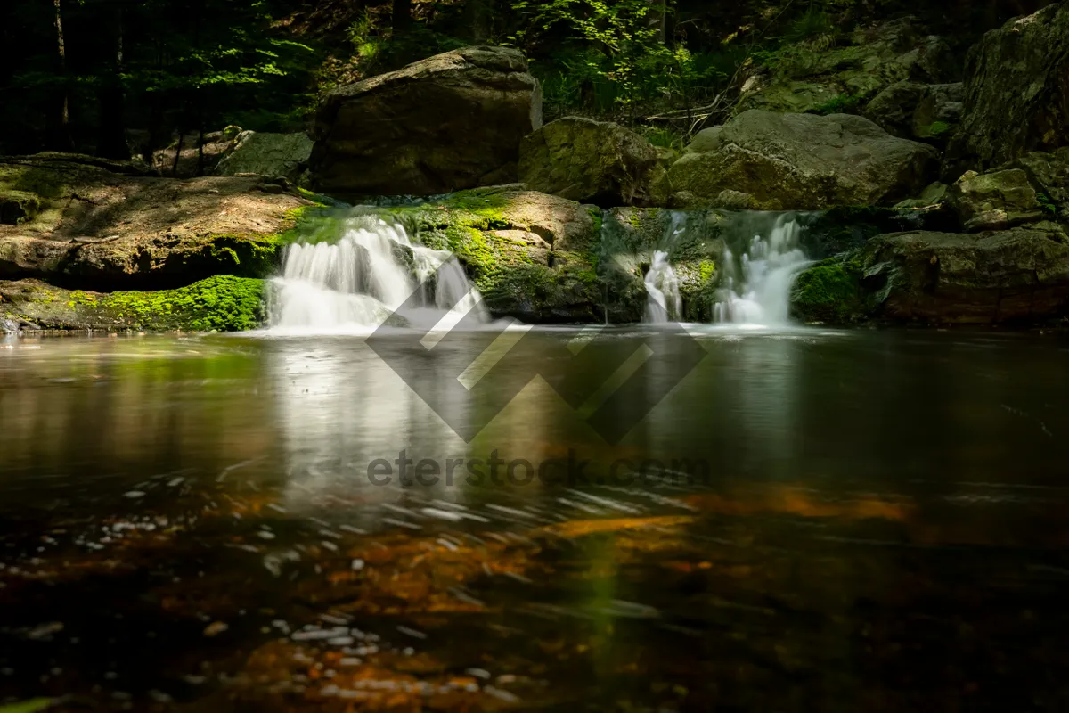 Picture of Tranquil waterfall in forest park with flowing stream.