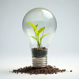 Green plant under bright glass lamp light