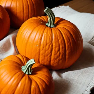 Festive Autumn Gourd Harvest