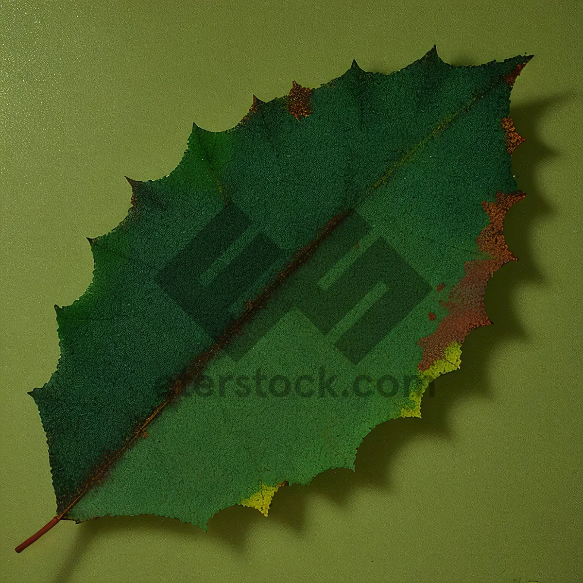 Picture of Autumn Maple Leaf Texture