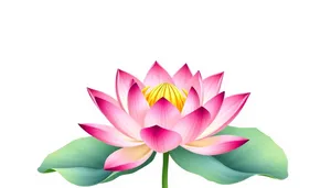 Colorful Lotus Flower Design Element
