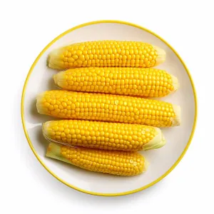 Fresh Sweet Corn Cob Close-up Eating Healthy Snack