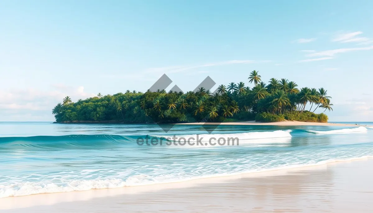 Picture of Tropical paradise beach with clear turquoise waters.