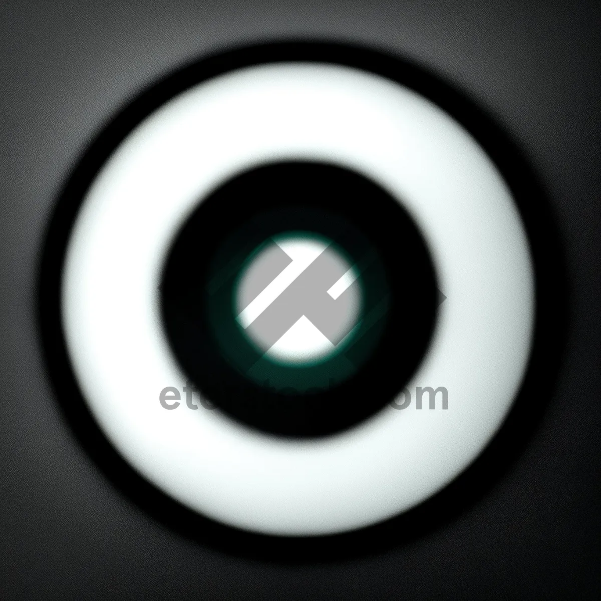 Picture of Modern Shiny Circle Button with Aperture Design