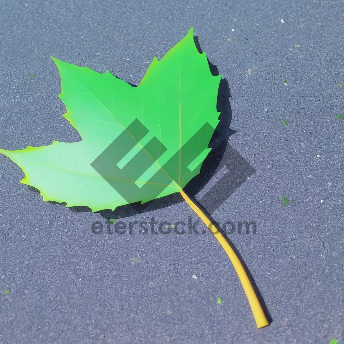 Picture of Colorful Autumn Maple Leaf Umbrella