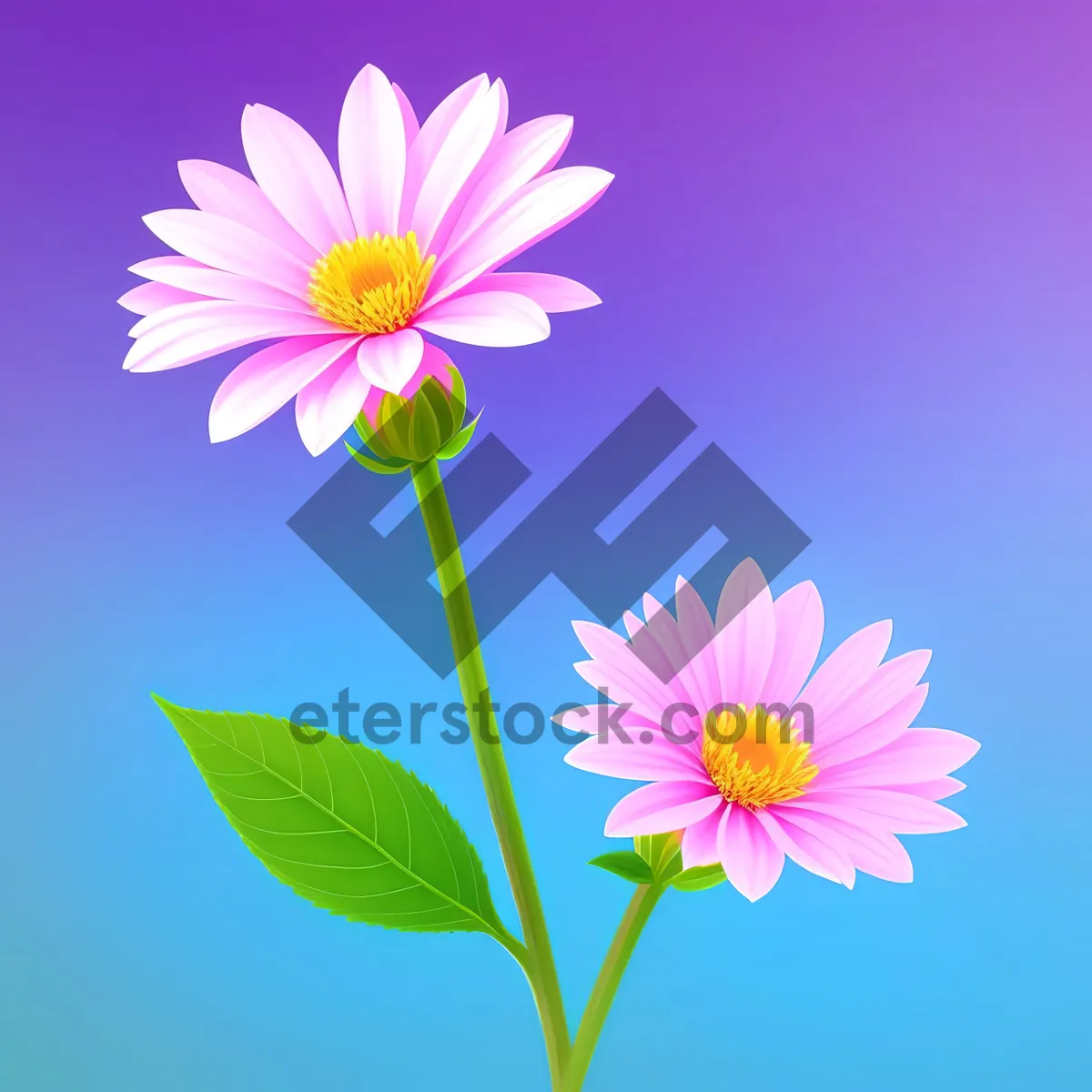 Picture of Bright Summer Daisy Blossom