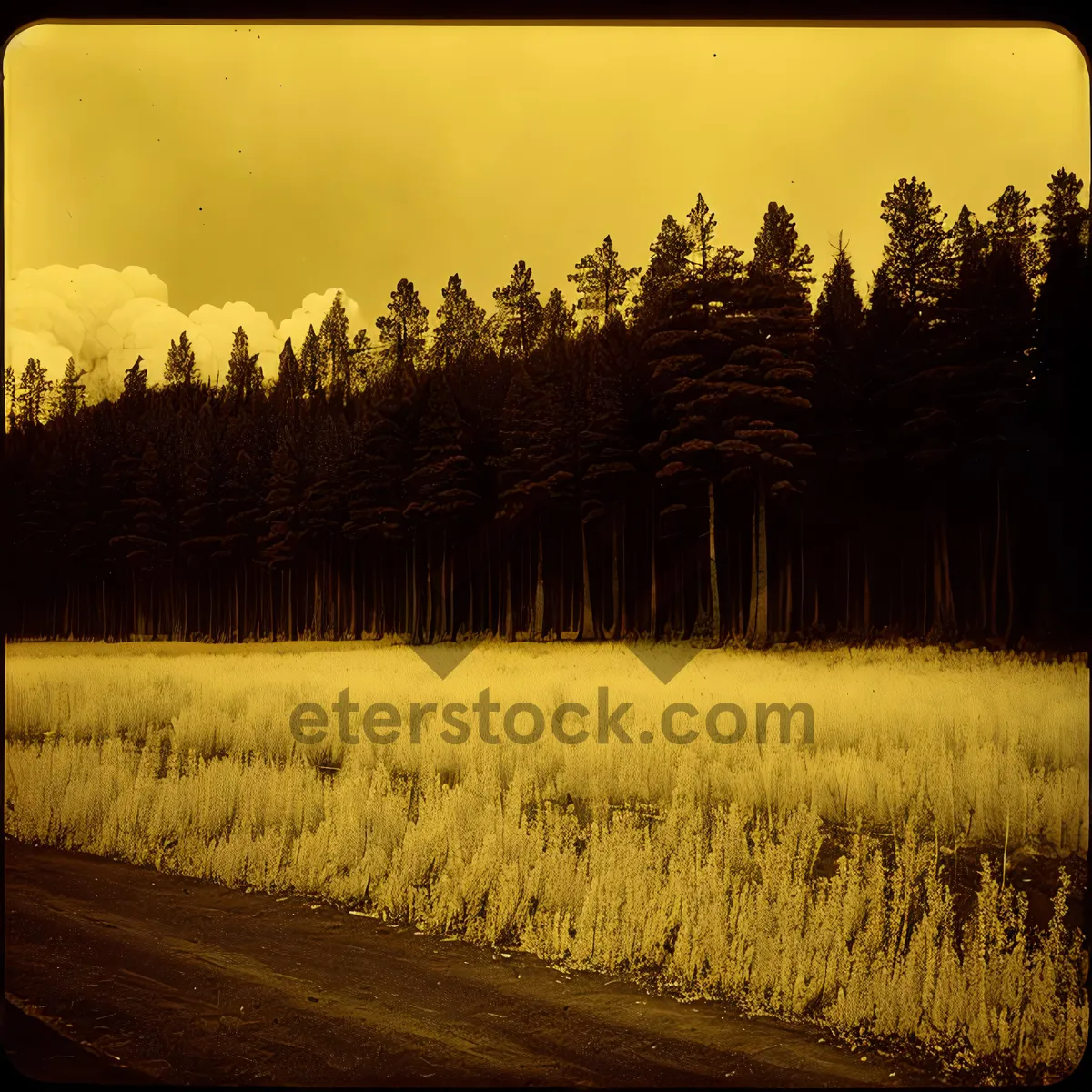 Picture of Rural Sunset with Picket Fence at Barn