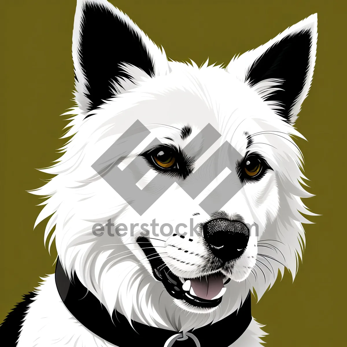 Picture of Adorable White Border Collie Puppy Portrait.