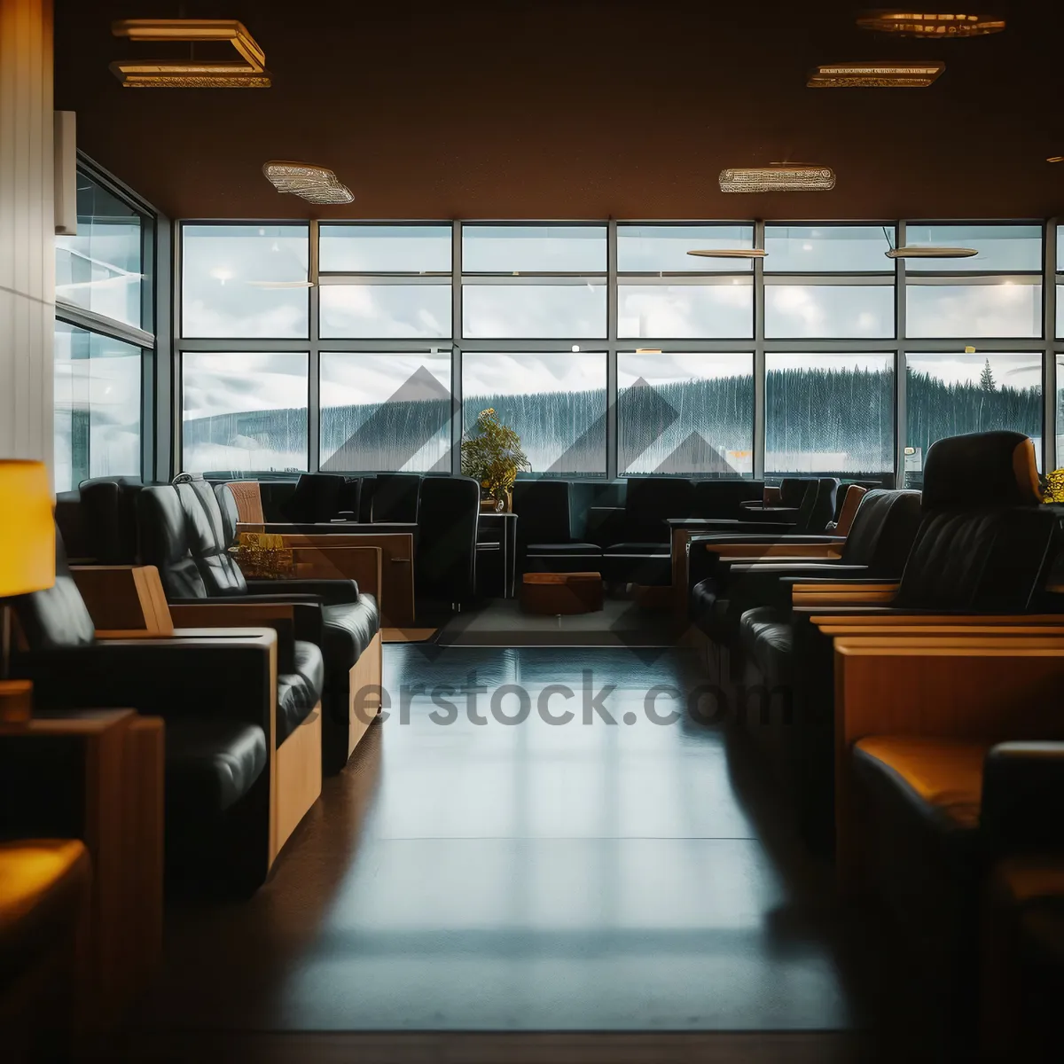 Picture of Modern Luxury Interior with Elegant Furniture and Lighting