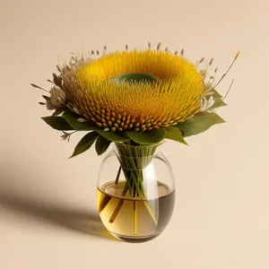 Vibrant yellow sunflower in bright summer field