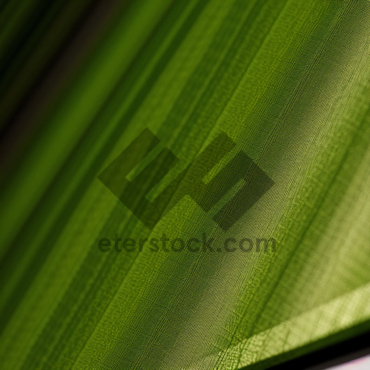 Picture of Vibrant Leaf Texture in a Garden