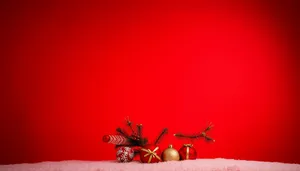 Festive gold ornaments on winter pine tree branch