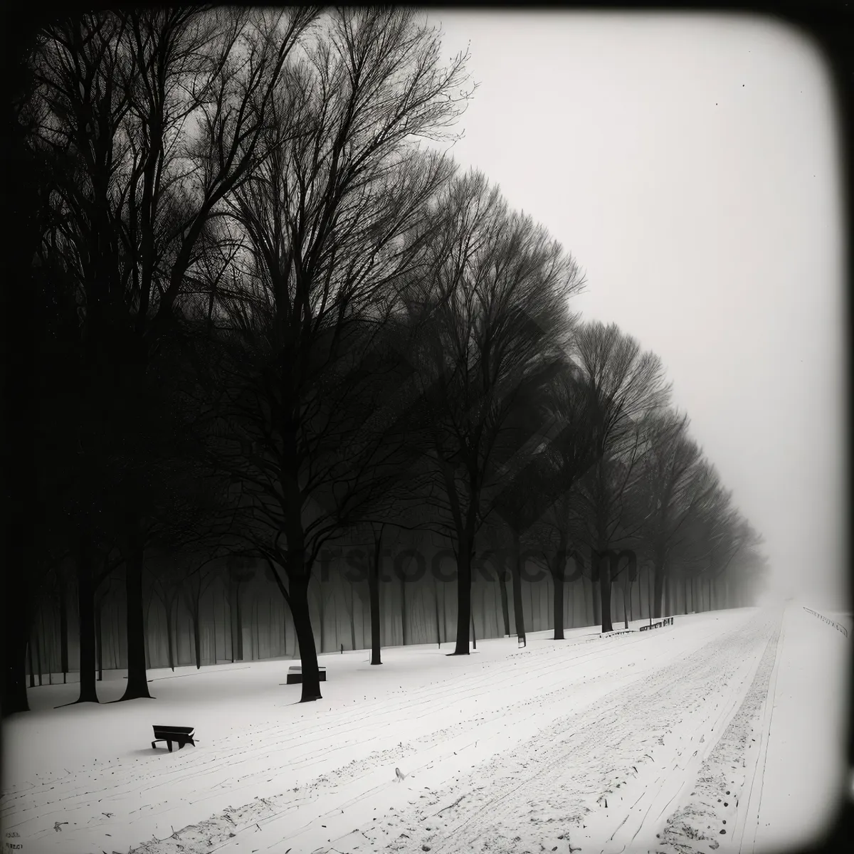 Picture of Winter Wonderland: A Frosty Snow-Covered Landscape with Picket Fence and Trees.