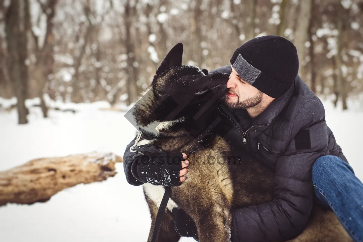 Picture of Man wearing mask and playing with shepherd dog in snow.