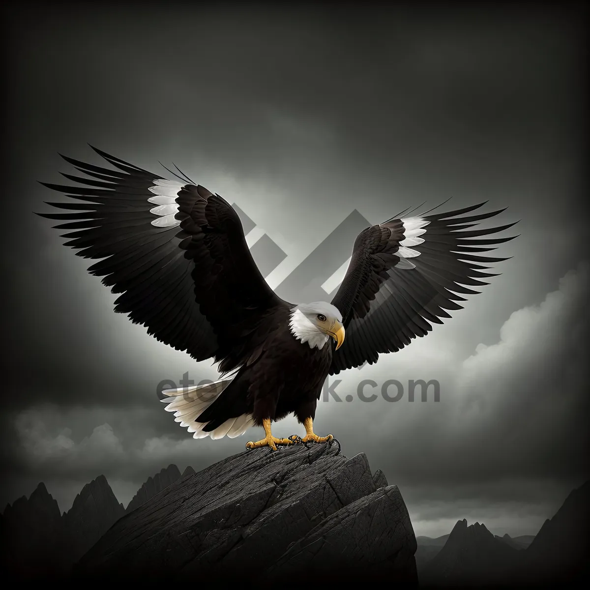 Picture of Majestic Bald Eagle Soaring in the Wilderness