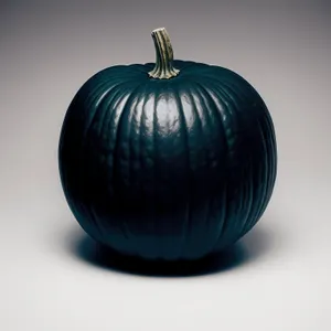 Harvest squash and ripe pumpkins for Thanksgiving decoration