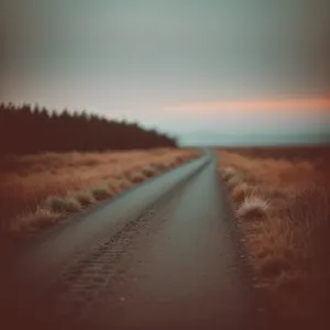 Endless Road through Desert Dunes