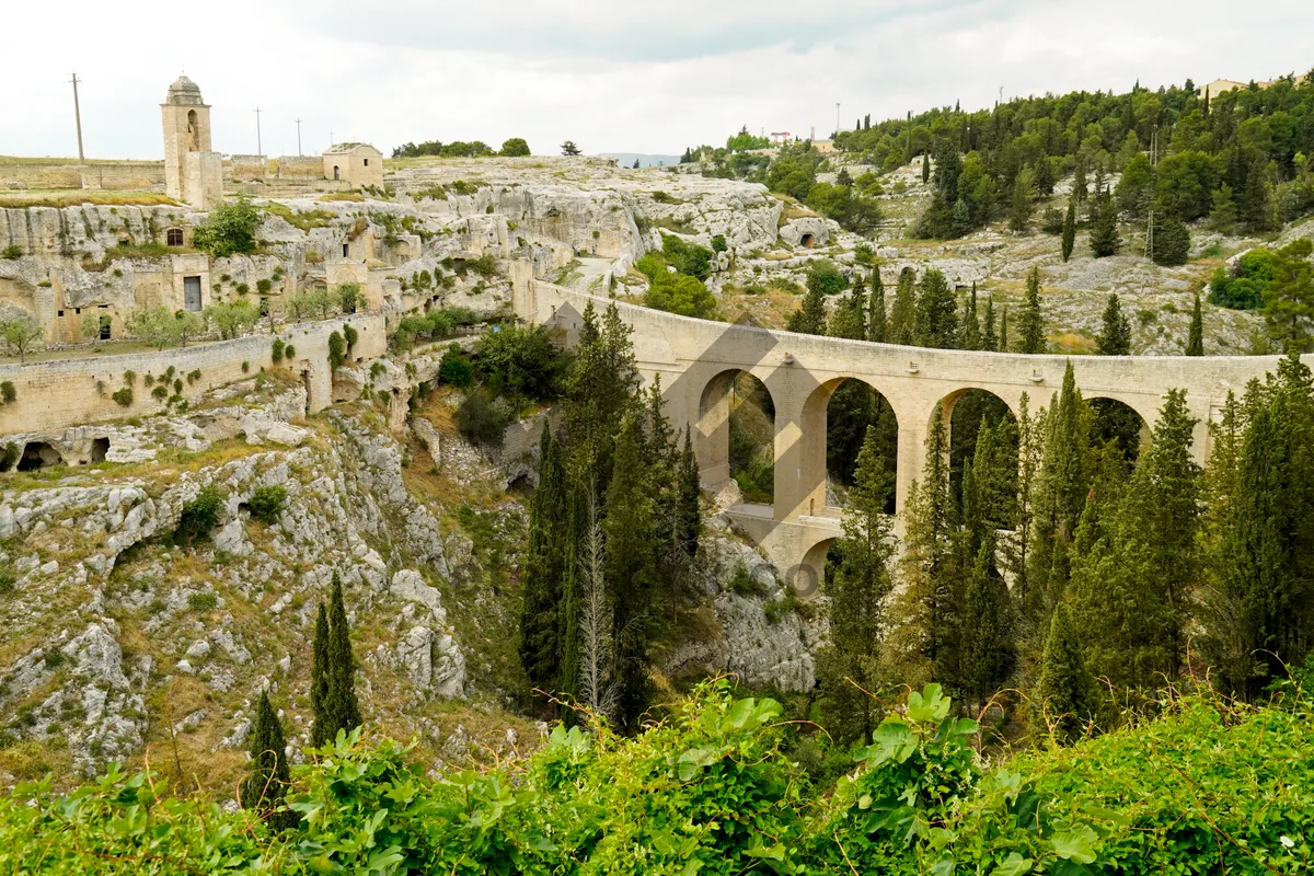 Picture of Old viaduct crossing river in forest landscape.