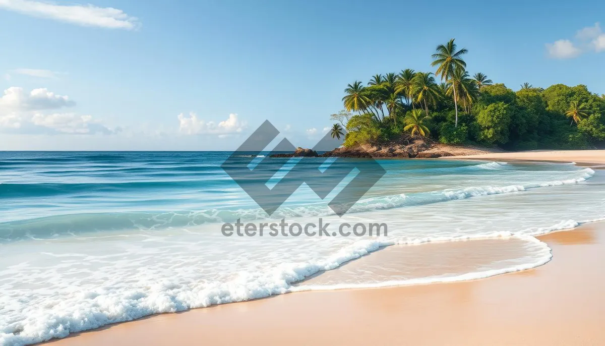 Picture of Tropical beach vacation paradise with clear turquoise water