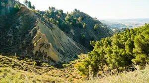 Scenic Mountain River in National Park