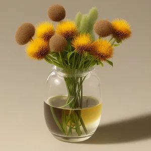 Blooming Yellow Sunflower in Garden Vase