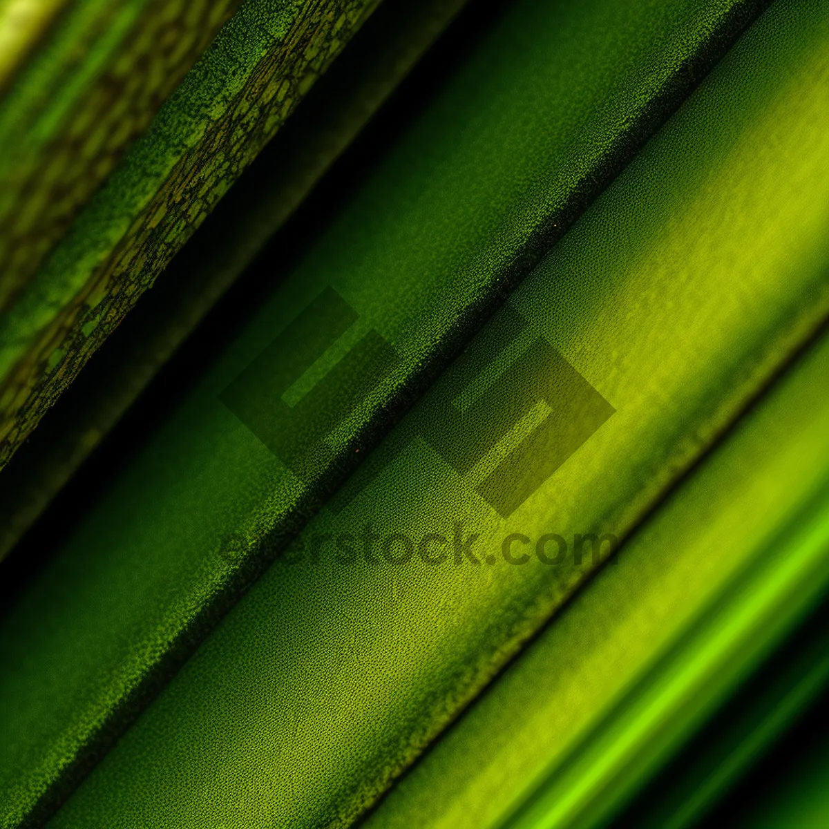 Picture of Green Lizard on Bamboo Patterned Window Shade