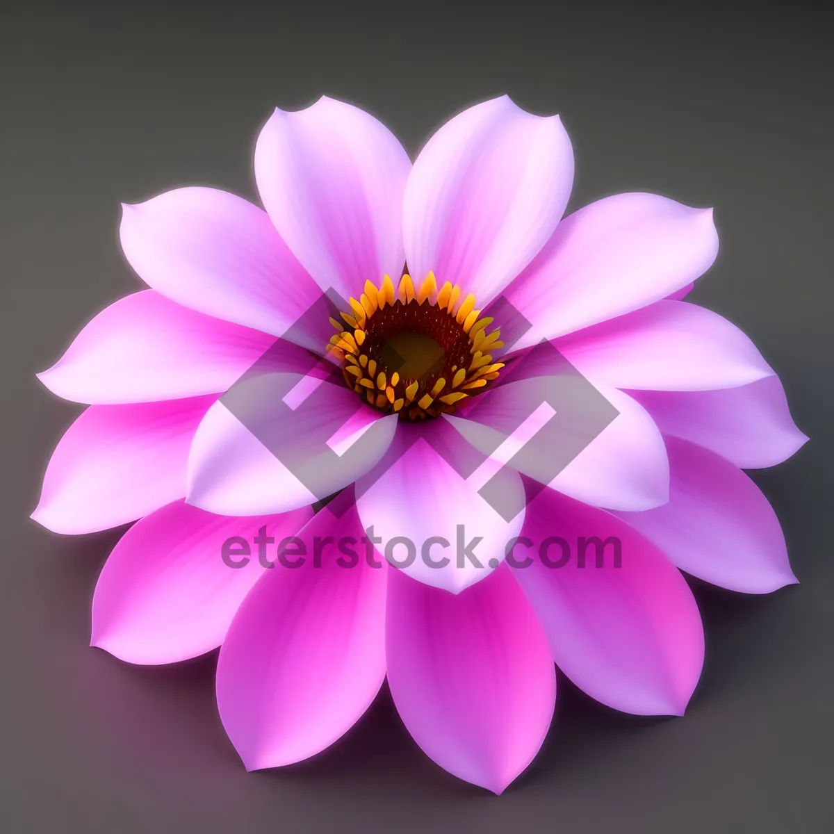 Picture of Romantic Lotus Blossom in Pink