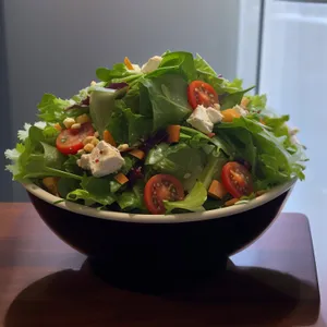 Fresh Vegetables Salad Plate with Basil and Tomatoes