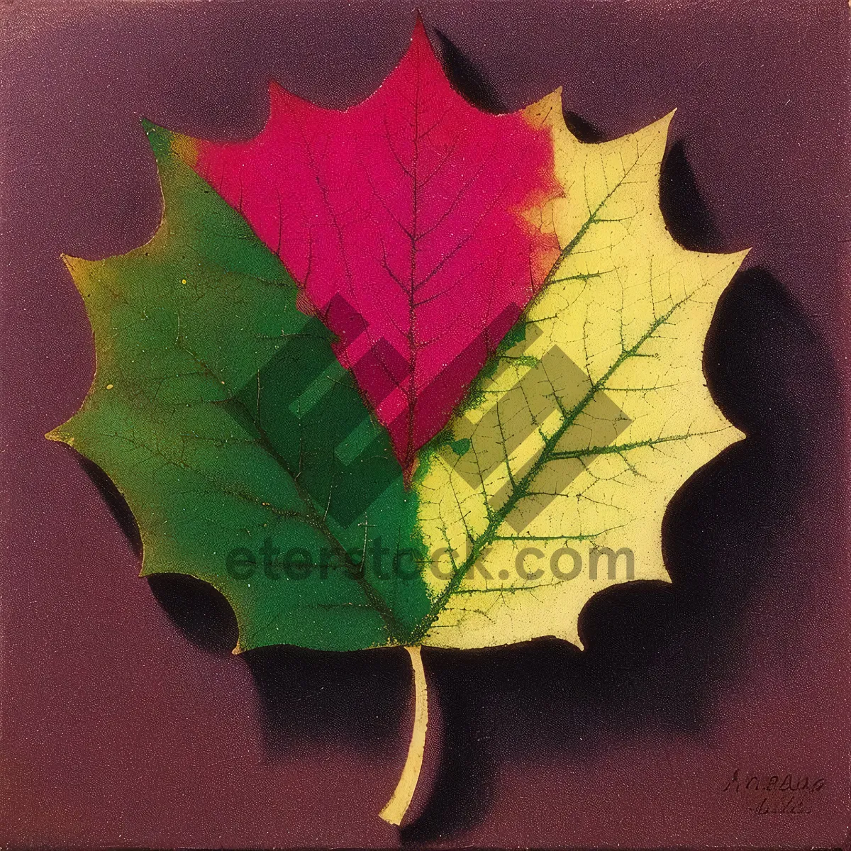 Picture of Vibrant Autumn Maple Leaf in Foliage Wonderland