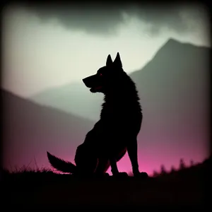 Sunset Silhouette of a Watchdog Shepherd Dog