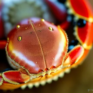 Chestnut-Fed Carnivorous Ant Feast