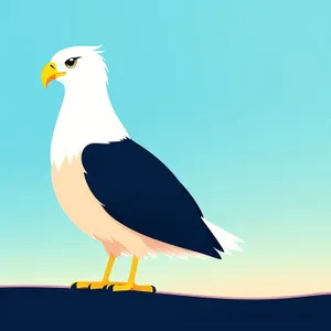 Fluffy Yellow Seagull with Piercing Eyes