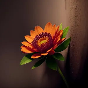 Vibrant Sunflower Blossom in Sunny Field