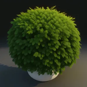 Vibrant Garden Flora - Tree with Globe Thistle