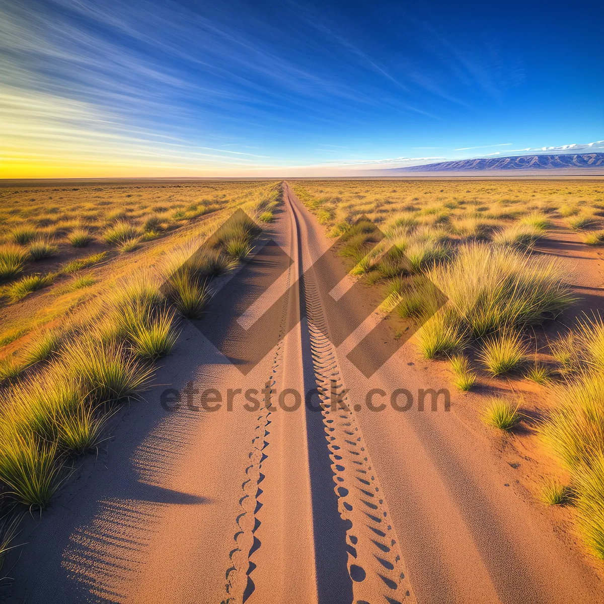 Picture of Sunset Road in the Countryside